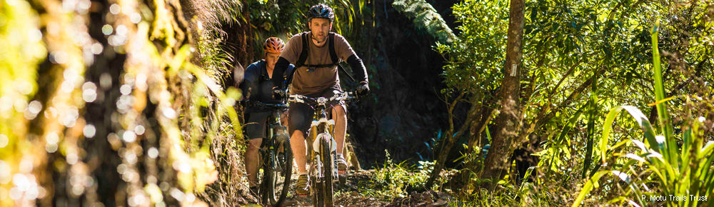 Pakihi Track, Opotiki