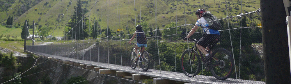Queenstown Trails: Around the Basin