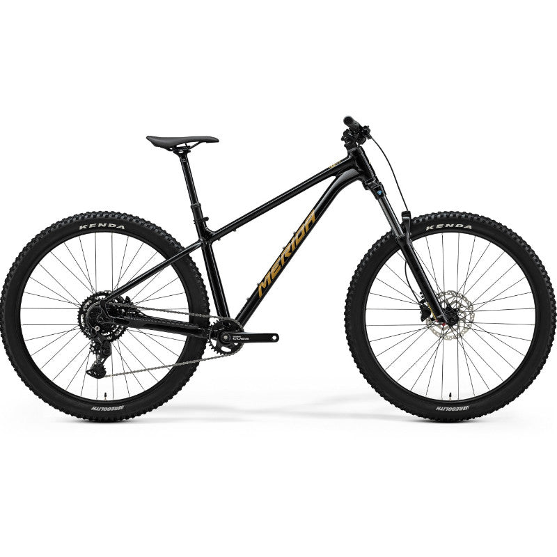 Merida Big Trail 300 - Black